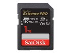 Cartes flash –  – SDSDXEP-1T00-GN4IN