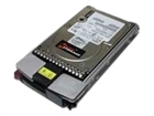 Server Hard Drives –  – SA146005I224