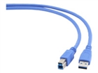 USB laidas –  – CCP-USB3-AMBM-0.5M