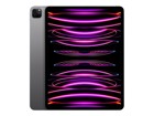 Tablets & Handhelds –  – MNXY3ZP/A