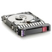 Interni hard diskovi –  – EG000300JWEBF-RFB