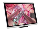 Medical Displays –  – K9352053