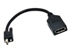 Peripheral Cables –  – CAB-MINIDP-DP
