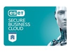 安全软件套装 –  – ESBC1R100-250