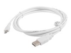 USB Kablolar –  – CA-USBM-10CC-0018-W