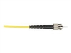 Patch Cables –  – EFN310-002M-STST