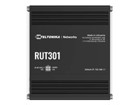 Onderneming-Bruggen & Routers –  – RUT301000000