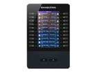 Telephone Accessories –  – 1TELDEXP150LF