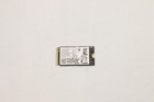Disques durs électroniques / SSD –  – 5SS0W79506