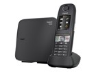 Wireless Telephones –  – S30852-H2503-N101