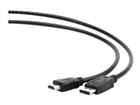 HDMI-Kablar –  – CC-DP-HDMI-10M