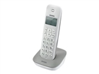 Wireless Telephones –  – 10273722