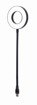 Studio Light –  – NL-LEDRING-01