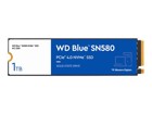 SSD –  – WDS100T3B0E