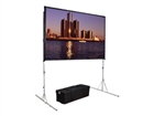 Projector Screens –  – 39310