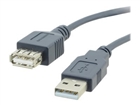 USB laidas –  – C-USB/AAE-1