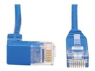 Patch Cables –  – N204-S10-BL-DN