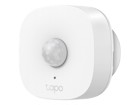 Security Products –  – TAPO T100