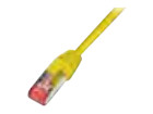 Patch-Kabel –  – PKW-PIMF-KAT6 0.25 GE