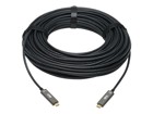 Câbles USB –  – U420F-30M-D3