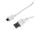 USB laidas –  – CCP-mUSB2-AMBM-W-10