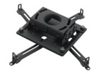 Projector Mounts –  – RPAU