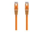 Patch kaablid –  – C6-0.5-ORANGE