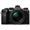 Mirrorless System Digital Cameras –  – V210071BU000