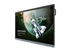 Touchscreen Large Format Displays –  – RE7504