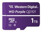 Flash kortelės																								 –  – WDD100T1P0C