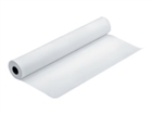 Roll Paper –  – C13S041616