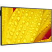 LCD/LED Large Format Displays –  – M501-2