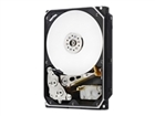 Server Hard Drives –  – 1EX0144