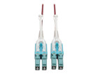 Patch Cables –  – N821-01M-MG-T