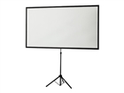 Projector Screen –  – 1091477