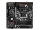 Placas Base (para Procesadores Intel) –  – B460MAORUSELITE