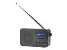 Portable Radios –  – RDDB1000BK