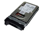 Server Hard Drives –  – SA146005I817
