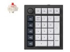 Numeric Keypads –  – Q0M-M1