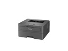 Monochrome Laser Printers –  – HLL2400DWZU1