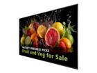 LCD/LED Großformat Displays –  – 98BDL5050D/00
