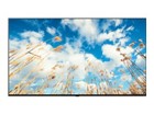 Hotel & Hospitality TVs & Displays –  – 65UM767H