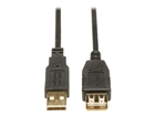 USB kabeļi –  – U024-010