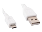 Câbles USB –  – CCP-MUSB2-AMBM-W-0.5M