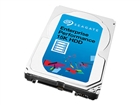 Internal Hard Drive –  – ST300MP0015