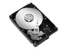 Internal Hard Drives –  – ST380815AS