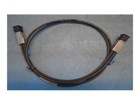 Storage Cables –  – 717432-001