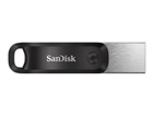 Flash Drives –  – SDIX60N-256G-AN6NE