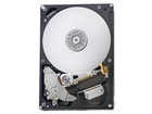 Disques durs internes –  – S26361-F3907-L100