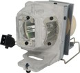 Projector Lamp –  – W128444880